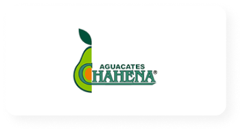 Aguacates Hahena