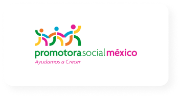 Promotora Social México